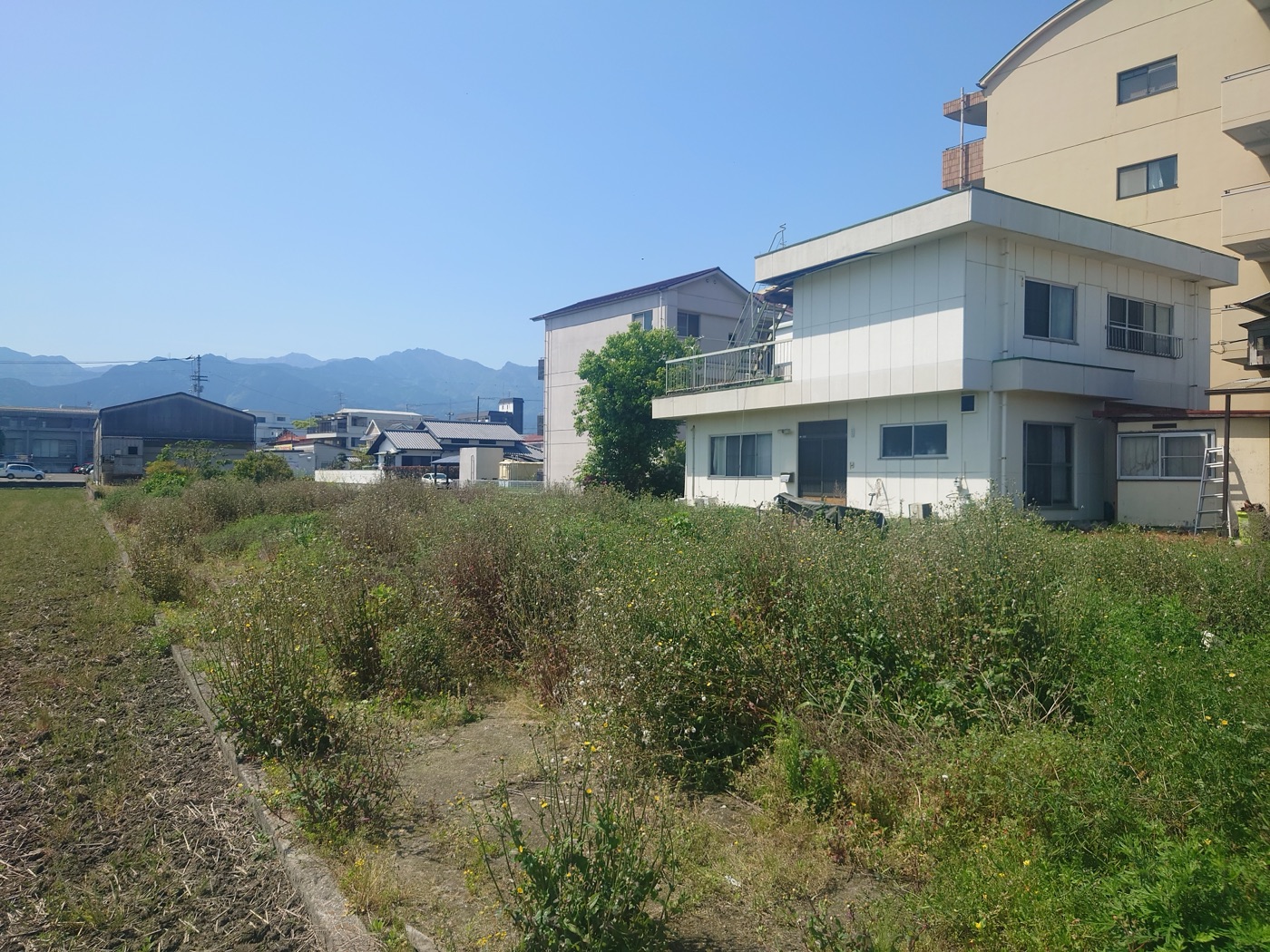 施工前の敷地。草が生い茂った状態