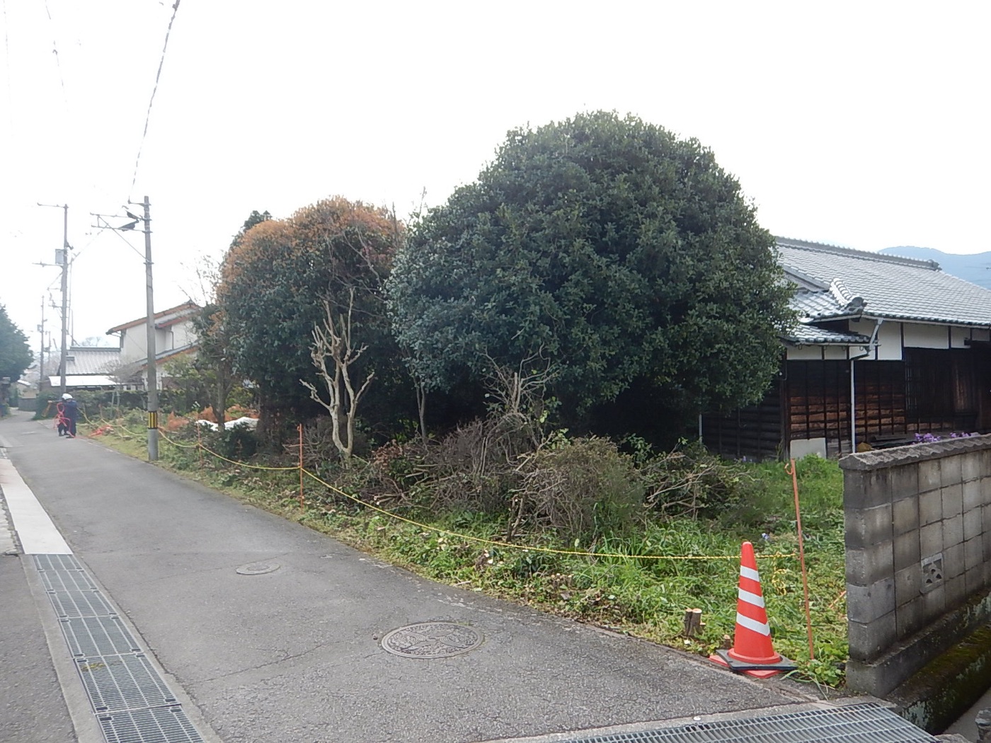 施工前。道路際に樹木が張り出した状態